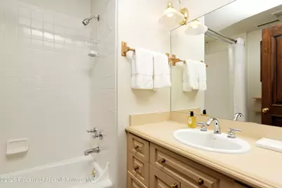 411 Willoughby Way, Aspen, CO 81611 - Photo 17