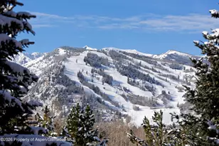 411 Willoughby Way, Aspen, CO 81611 - Photo 31
