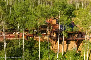 6770 Castle Creek Rd, Aspen, CO 81611 - Photo 59