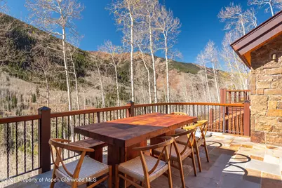 6770 Castle Creek Road, Aspen, CO 81611 - Photo 33