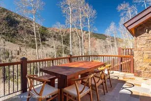 6770 Castle Creek Rd, Aspen, CO 81611 - Photo 33