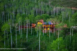 6770 Castle Creek Rd, Aspen, CO 81611 - Photo 63