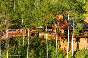 6770 Castle Creek Rd, Aspen, CO 81611 - Photo 93