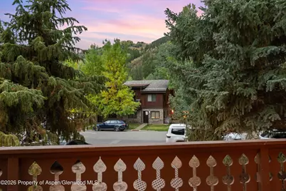 312 W Hyman Avenue, Aspen, CO 81611 - Photo 43