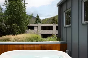 1006 E Cooper Ave, Aspen, CO 81611 - Photo 29