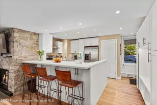 425 Wood Rd, Snowmass Village, CO 81615 - Photo 3
