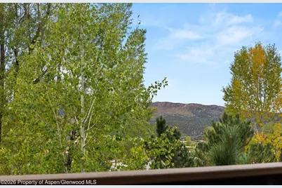 118 Juniper Trail, Carbondale, CO 81623 - Photo 19