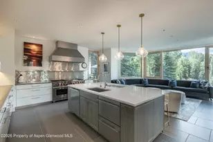 58 Pitkin Way, Aspen, CO 81611 - Photo 9