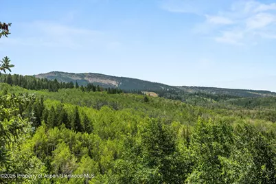 824 Pine Crest Lane, Snowmass Village, CO 81615 - Photo 35