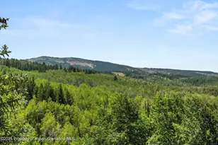 824 Pine Crest Ln, Snowmass Village, CO 81615 - Photo 35