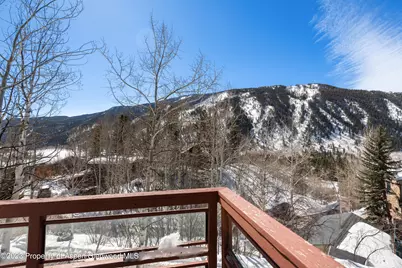 184 Mountain Laurel Drive, Aspen, CO 81611 - Photo 45