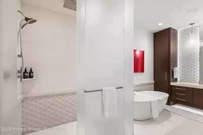 917 S Mill Street, Aspen, CO 81611 - Photo 23
