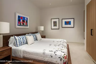 219 S Third Street, Aspen, CO 81611 - Photo 19