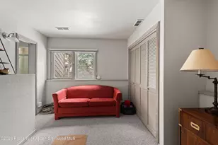 645 Sneaky Ln, Aspen, CO 81611 - Photo 19