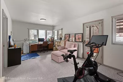 645 Sneaky Lane, Aspen, CO 81611 - Photo 19