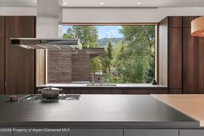 1037 Cemetery Lane, Aspen, CO 81611 - Photo 17