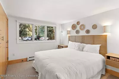 625 S West End Street #8, Aspen, CO 81611 - Photo 9