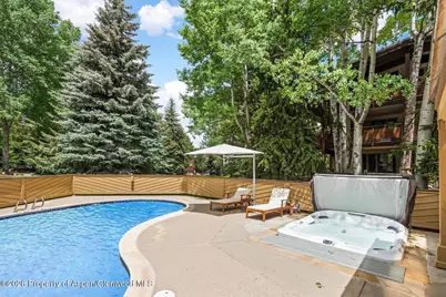 625 S West End Street #8, Aspen, CO 81611 - Photo 19