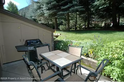 625 S West End Street #8, Aspen, CO 81611 - Photo 15