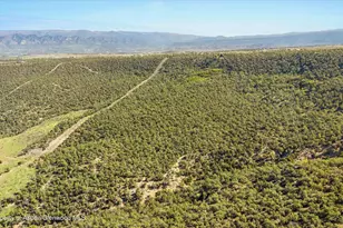 215 Cedar Breaks Rd, Rifle, CO 81650 - Photo 19