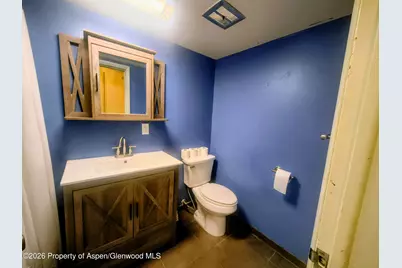 11101 County Road 117 #6b, Glenwood Springs, CO 81601 - Photo 9