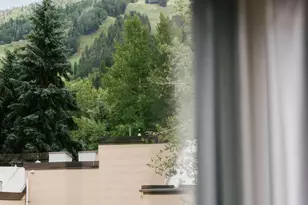 333 W Main St, Aspen, CO 81611 - Photo 15