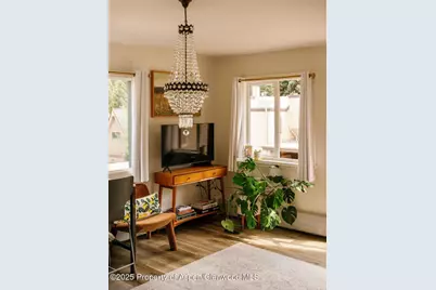 333 W Main Street #B2, Aspen, CO 81611 - Photo 5