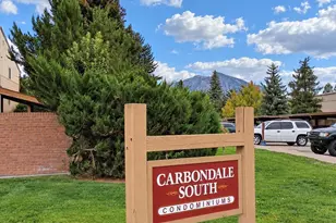 90 Roaring Fork Ave, Carbondale, CO 81623 - Photo 19
