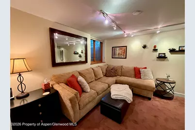 100 N 8th Street #7, Aspen, CO 81611 - Photo 17