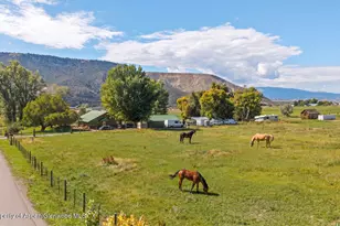 133 County Road 263, New Castle, CO 81647 - Photo 5