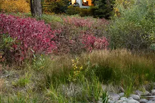 256 Twining Flats Rd, Aspen, CO 81611 - Photo 5