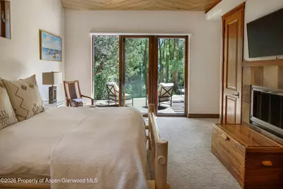 256 Twining Flats Road, Aspen, CO 81611 - Photo 51