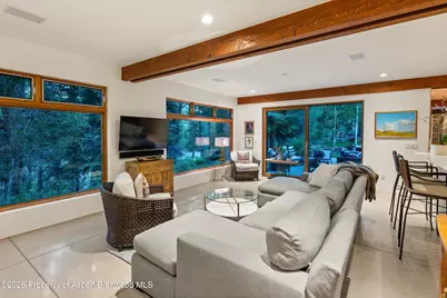 256 Twining Flats Road, Aspen, CO 81611 - Photo 19