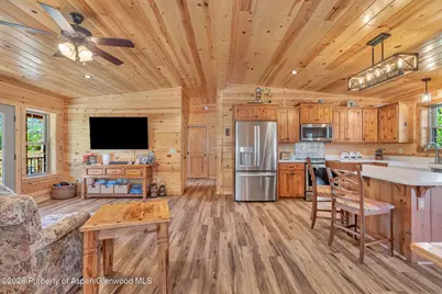 23615 Stagehorn Trail, Oak Creek, CO 80467 - Photo 9