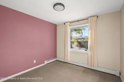 68 Marble Court, Carbondale, CO 81623 - Photo 19