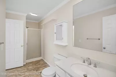 909 Cowen Drive, Carbondale, CO 81623 - Photo 7