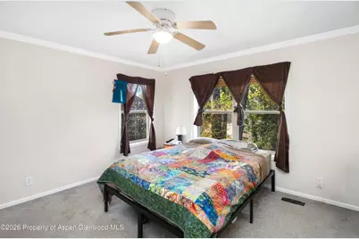 909 Cowen Drive, Carbondale, CO 81623 - Photo 9