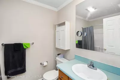 909 Cowen Drive, Carbondale, CO 81623 - Photo 11