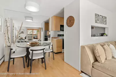 910 W Hallam Street #8, Aspen, CO 81611 - Photo 11