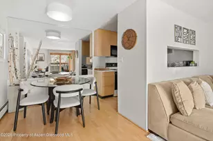 910 W Hallam St, Aspen, CO 81611 - Photo 11