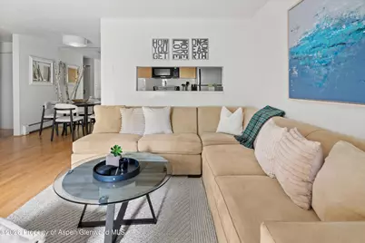 910 W Hallam Street #8, Aspen, CO 81611 - Photo 5