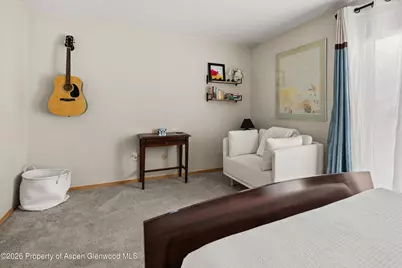 910 W Hallam Street #8, Aspen, CO 81611 - Photo 19