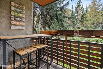 910 W Hallam Street #8, Aspen, CO 81611 - Photo 25