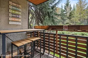 910 W Hallam St, Aspen, CO 81611 - Photo 25