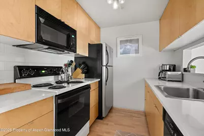 910 W Hallam Street #8, Aspen, CO 81611 - Photo 15