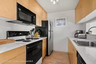 910 W Hallam St, Aspen, CO 81611 - Photo 15
