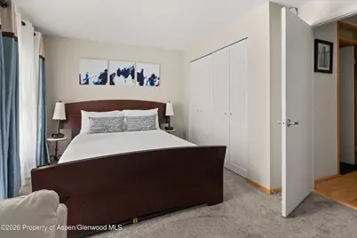 910 W Hallam Street #8, Aspen, CO 81611 - Photo 21
