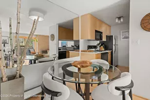 910 W Hallam St, Aspen, CO 81611 - Photo 13