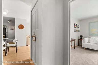 910 W Hallam Street #8, Aspen, CO 81611 - Photo 17