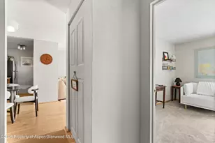 910 W Hallam St, Aspen, CO 81611 - Photo 17